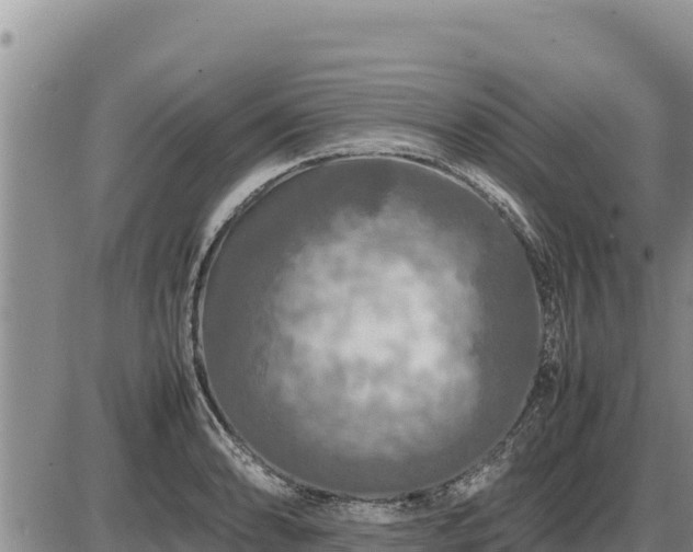 X0000087421086200704271731