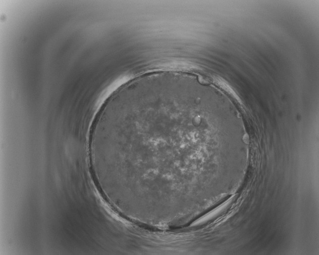 X0000087421087200704271731