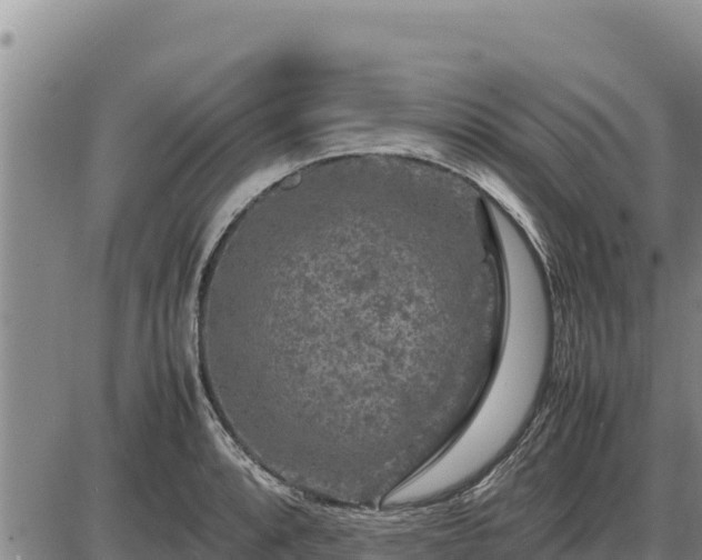 X0000087421088200704271731