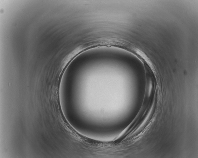 X0000087421089200704271731