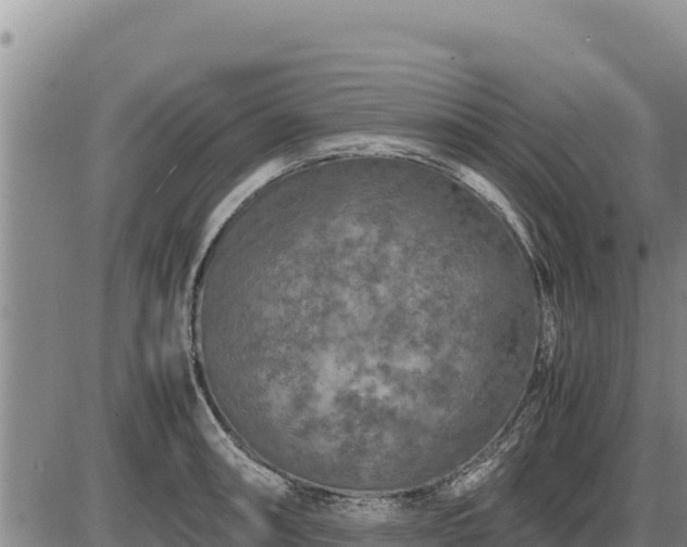 X0000087421090200704271731