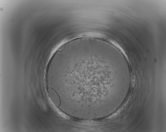 X0000087421091200704271731