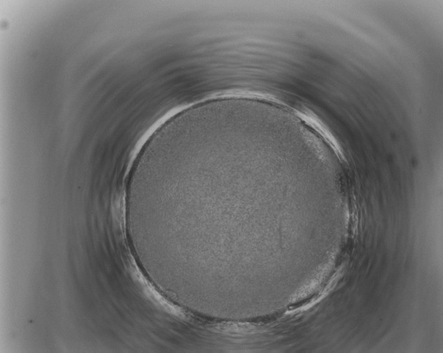 X0000087421092200704271731