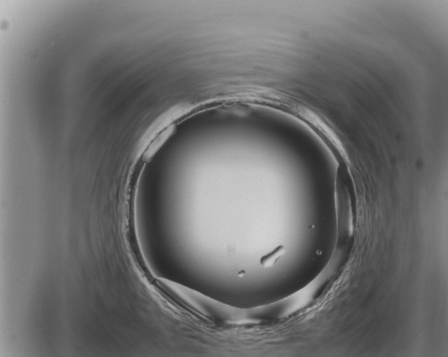 X0000087421093200704271731