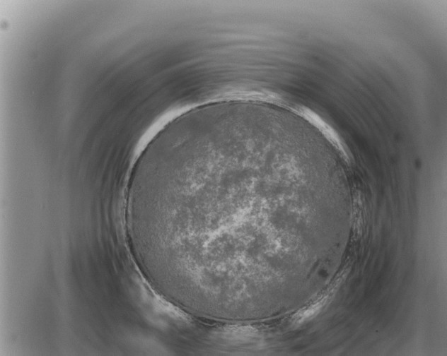 X0000087421094200704271731