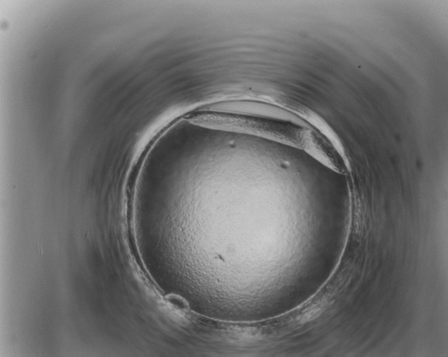 X0000087421096200704271731