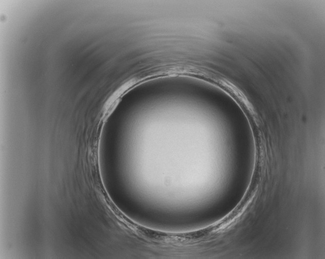 X0000087421097200704271731