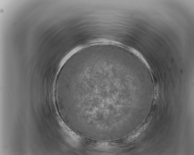 X0000087421098200704271731