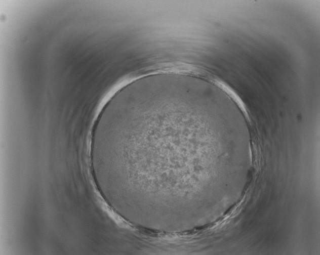 X0000087421099200704271731