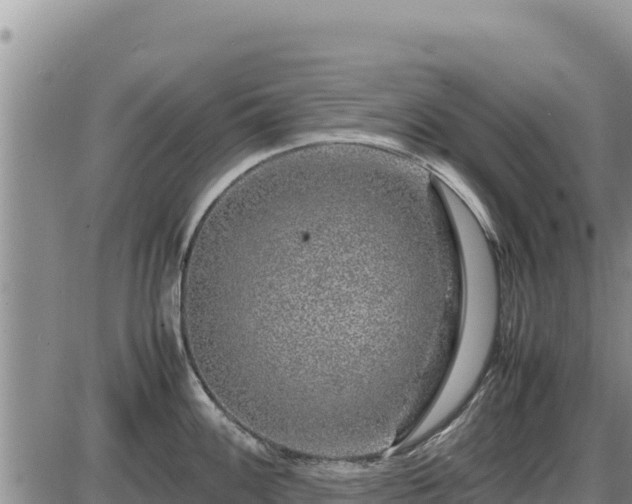 X0000087421100200704271731