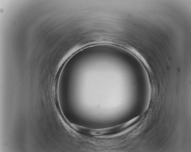 X0000087421101200704271731