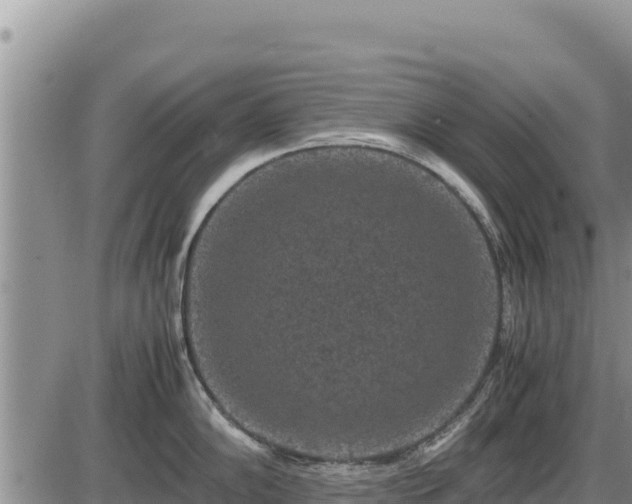 X0000087421102200704271731