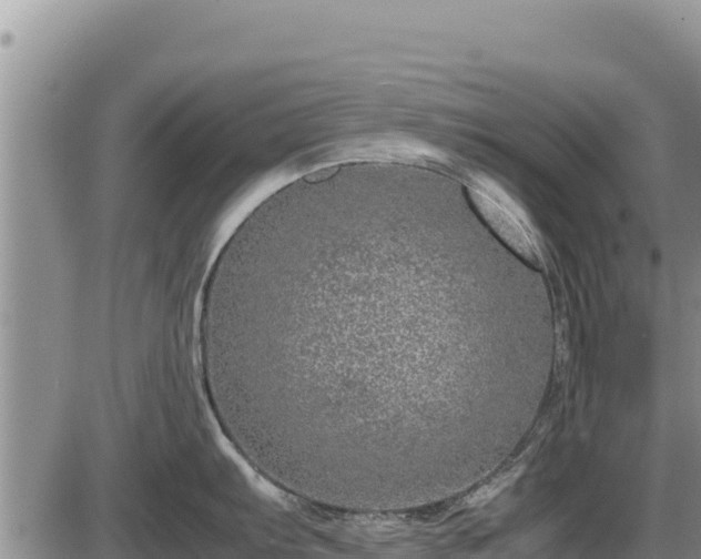 X0000087421103200704271731