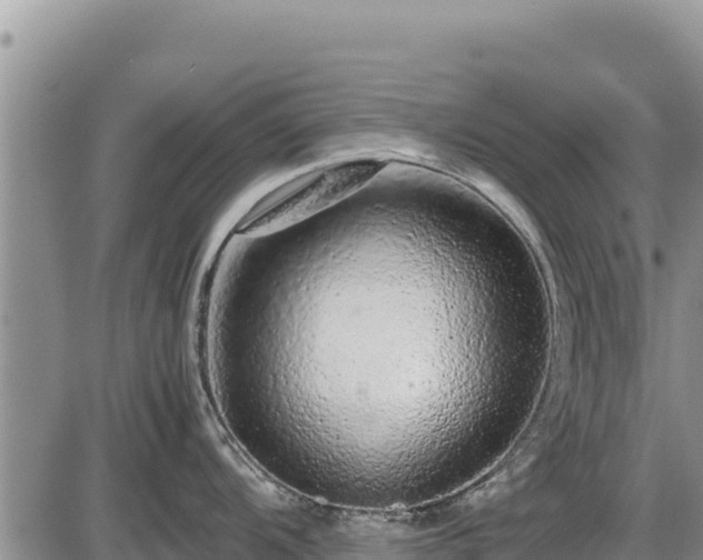 X0000087421104200704271731