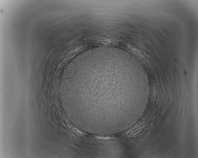 X0000087421105200704271730