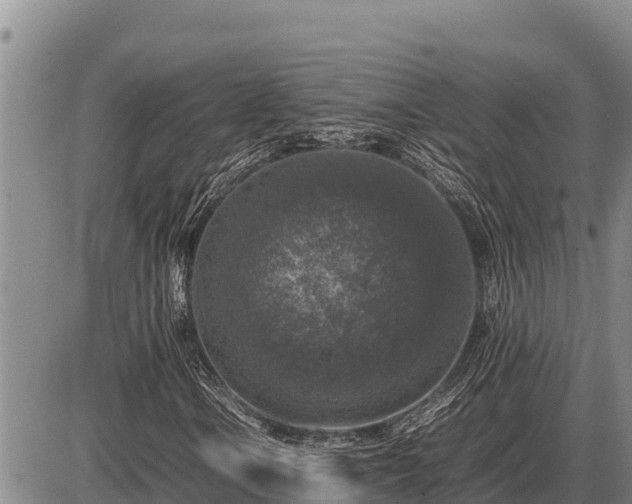 X0000087421106200704271730