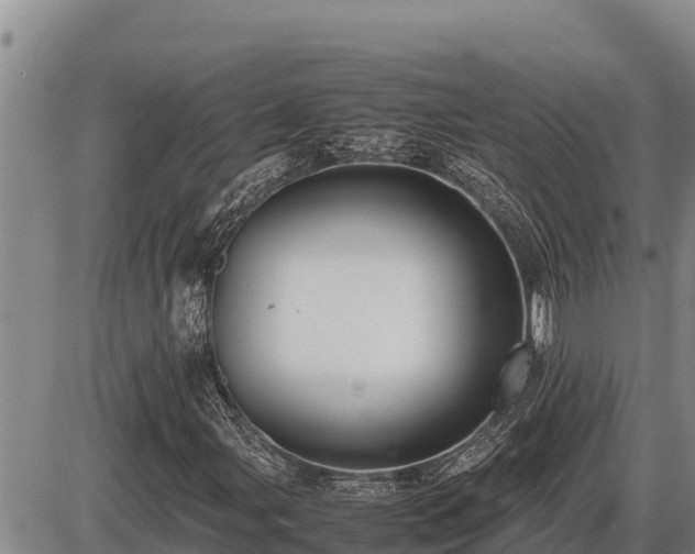 X0000087421107200704271730