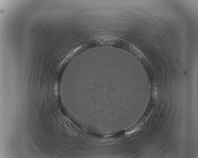 X0000087421108200704271730