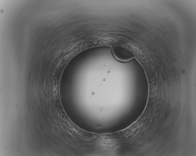 X0000087421109200704271730