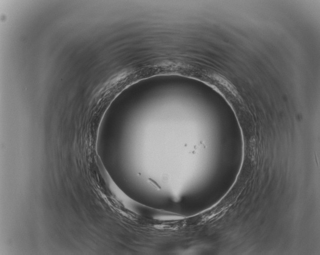 X0000087421111200704271730