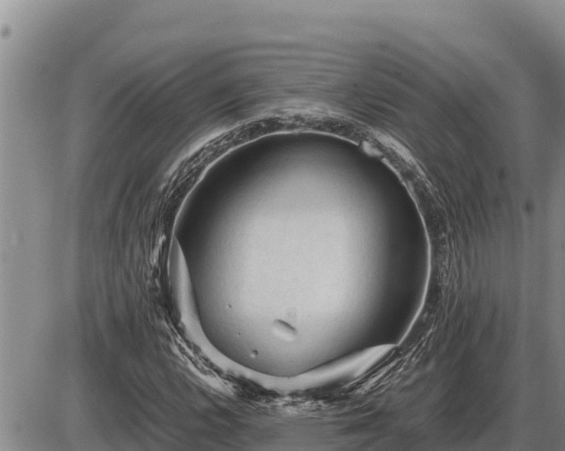 X0000087421112200704271730