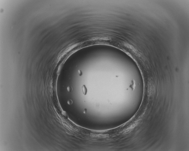 X0000087421113200704271730