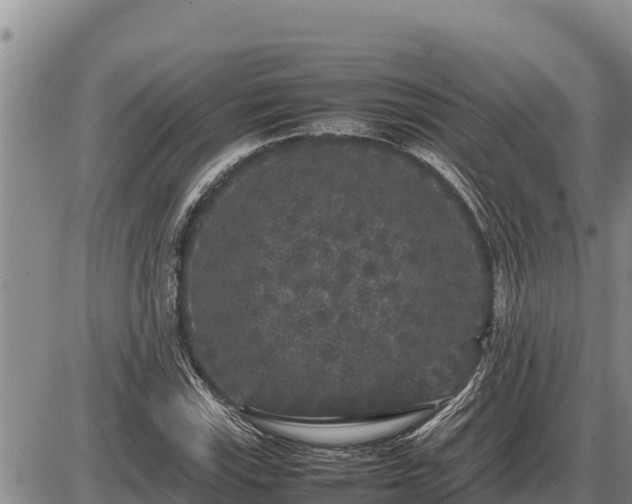 X0000087421115200704271730