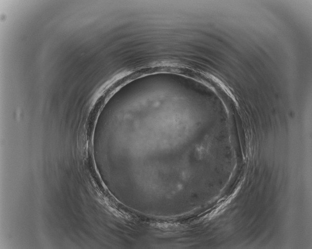 X0000087421117200704271730