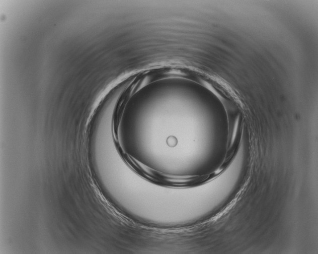 X0000087421118200704271730