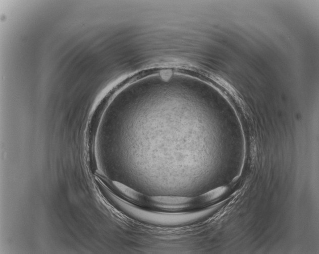 X0000087421120200704271730