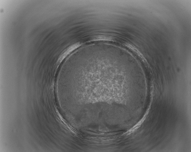 X0000087421121200704271730