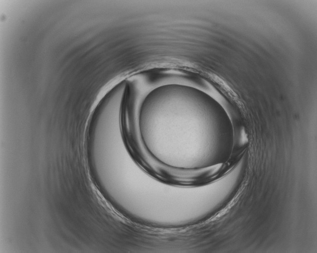 X0000087421122200704271730