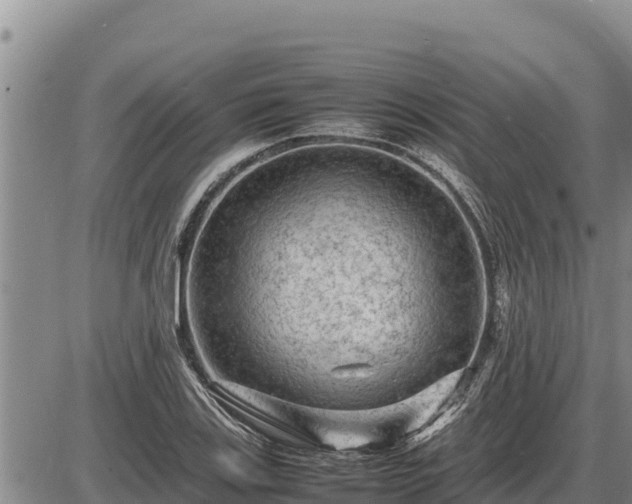 X0000087421123200704271730