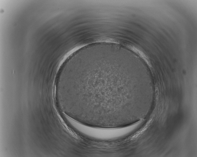 X0000087421125200704271730