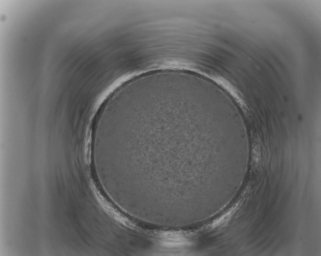 X0000087421126200704271730