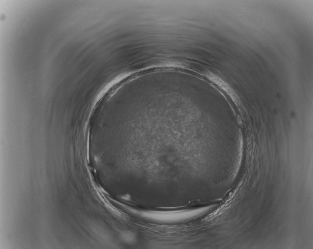 X0000087421127200704271730