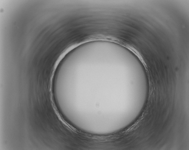 X0000087421128200704271730