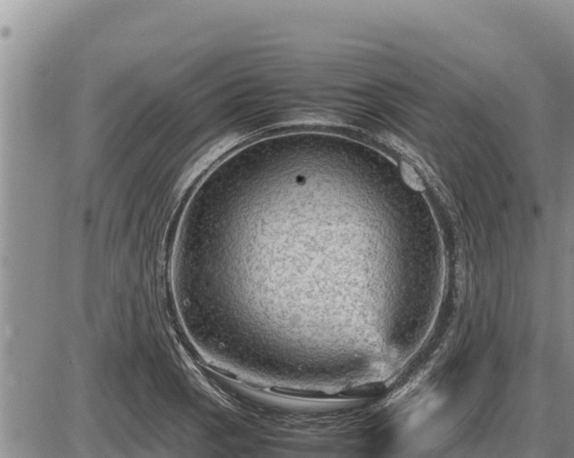 X0000087421129200704271730