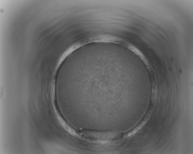 X0000087421130200704271730