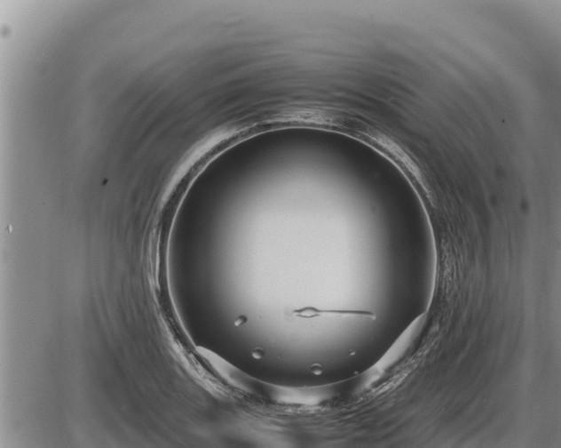 X0000087421131200704271730