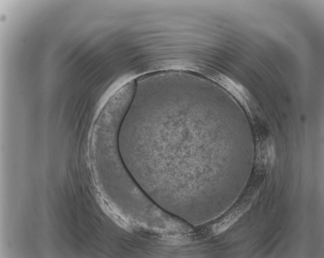 X0000087421132200704271730