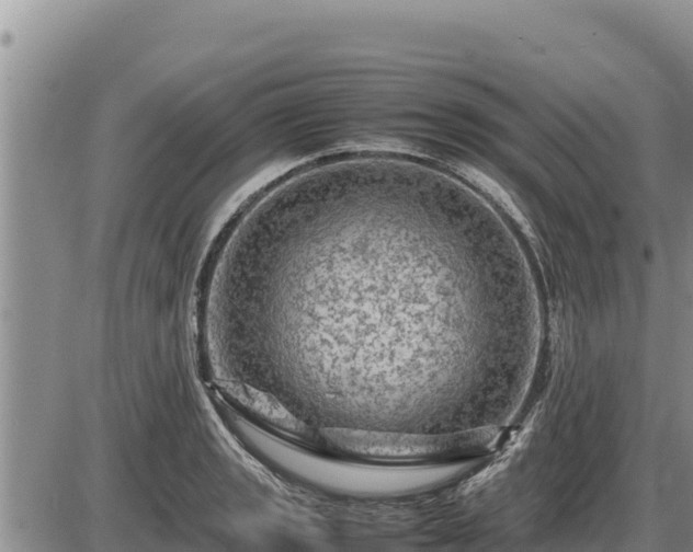 X0000087421133200704271730