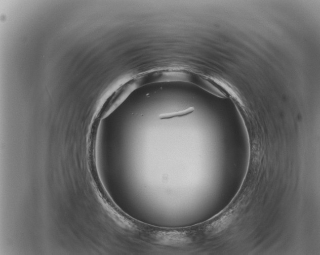 X0000087421135200704271730