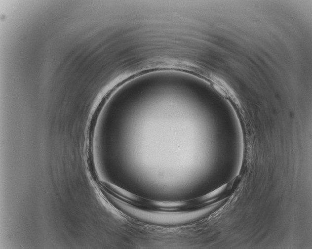 X0000087421136200704271730