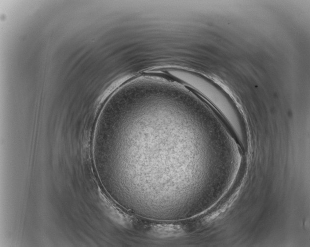 X0000087421137200704271730