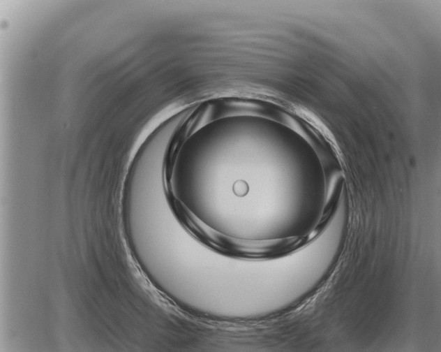 X0000087421138200704271730