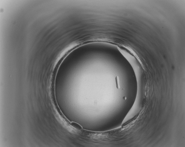 X0000087421139200704271730