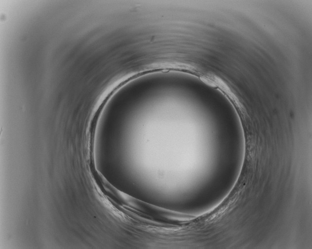 X0000087421140200704271731