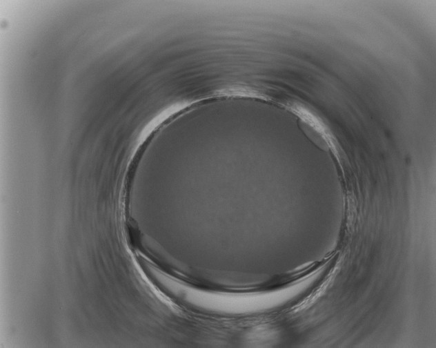 X0000087421141200704271731