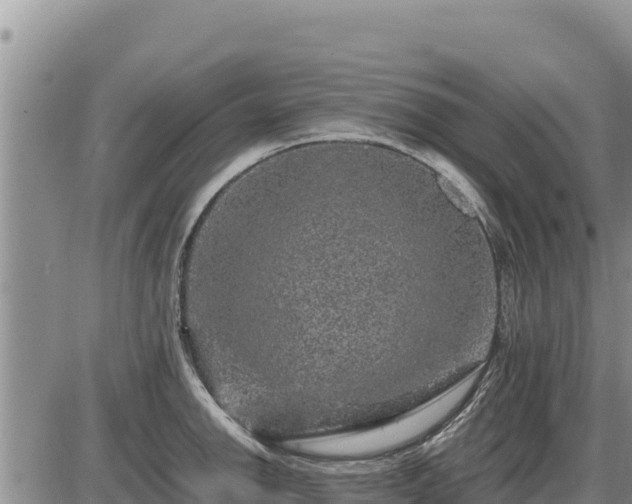 X0000087421142200704271731